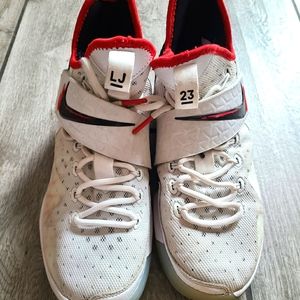 Nike Lebron Zoom 330.